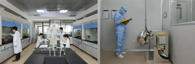 synthesis | Shaanxi BLOOM Tech Co., Ltd synthesis | Shaanxi BLOOM Tech Co., Ltd