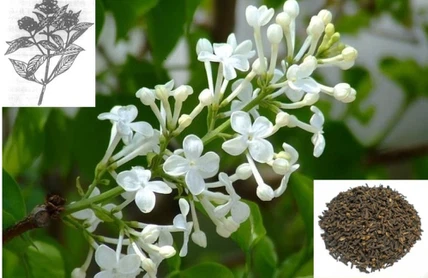 info-997-647 info-997-647