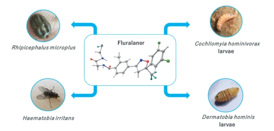 Fluralaner drop | Shaanxi Bloom Tech Fluralaner drop | Shaanxi Bloom Tech
