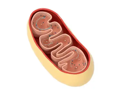 Bioglutide NA-931 500mcg | Shaanxi BLOOM Tech Co., Ltd Bioglutide NA-931 500mcg | Shaanxi BLOOM Tech Co., Ltd