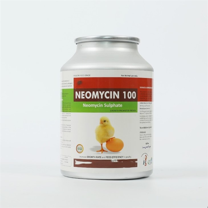 Neomycin Sulphate Injection best